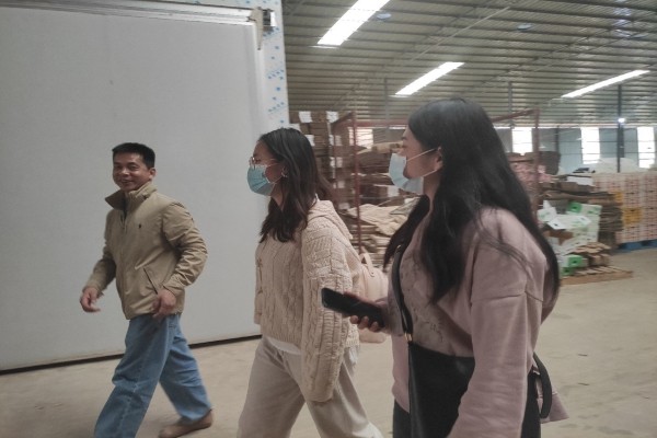 马克思主义学院2021年寒假社会实践“疫情影响下广西水果产业区面临的困境及解决路径研究”调研第一天