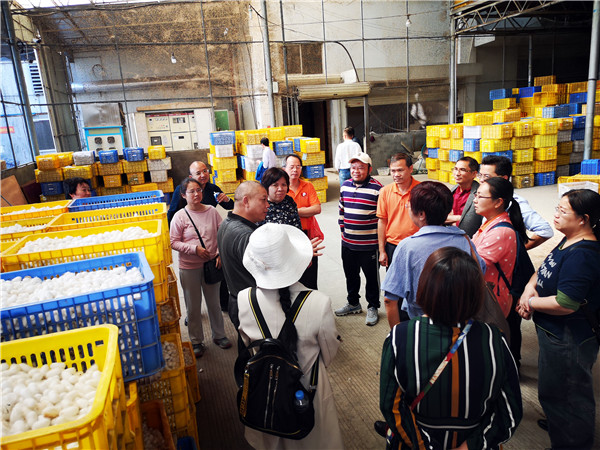 马克思主义学院到广西宜州宏基蚕丝有限公司开展主题教育活动